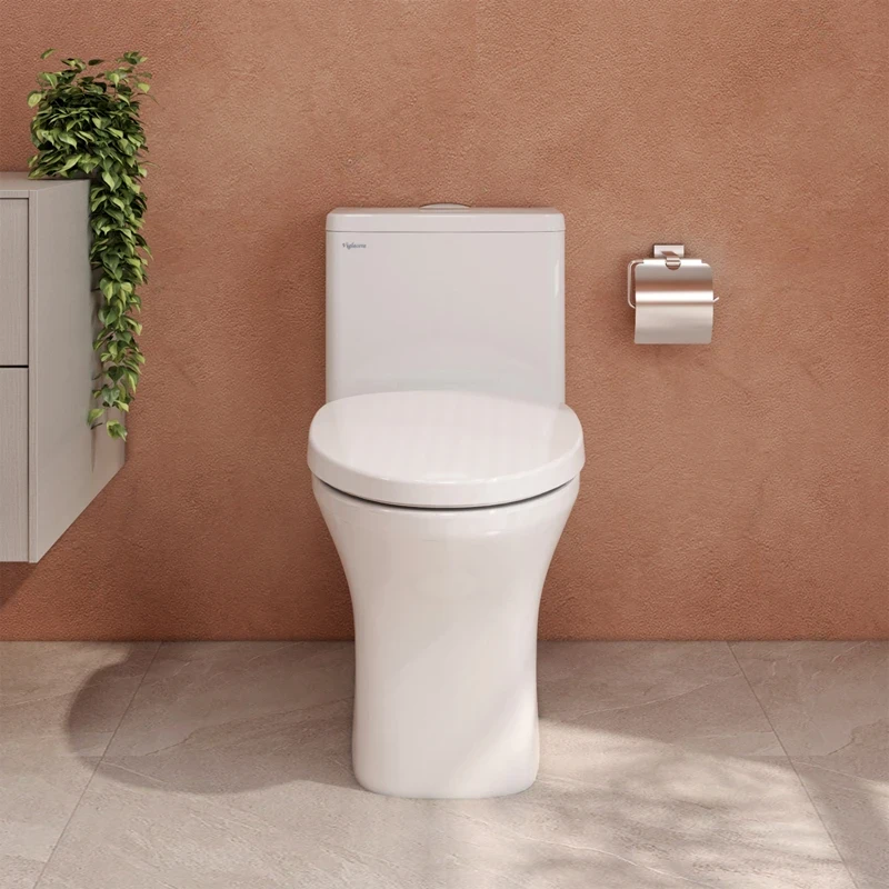 Ảnh Bồn cầu 1 khối Fansipan V700 (V72) 3