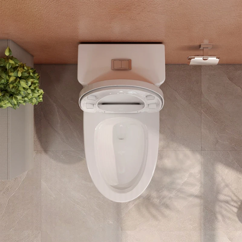 Ảnh Bồn cầu 1 khối Fansipan V700 (V72) 5