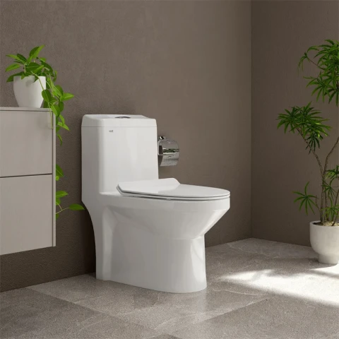 Ảnh Bồn cầu 1 khối Sanfi S301 2
