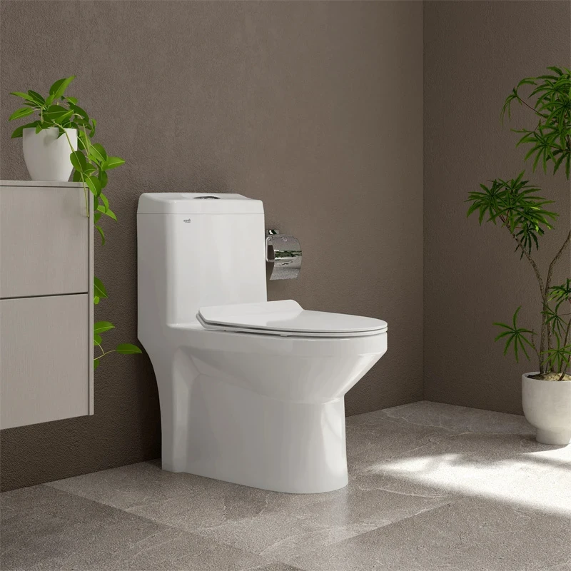 Ảnh Bồn cầu 1 khối Sanfi S301 2