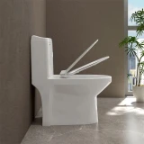 Bồn cầu 1 khối Sanfi S301 4