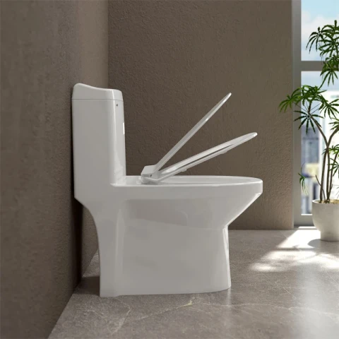Ảnh Bồn cầu 1 khối Sanfi S301 4