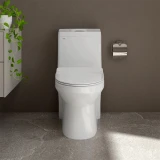 Bồn cầu 1 khối Sanfi S301 3