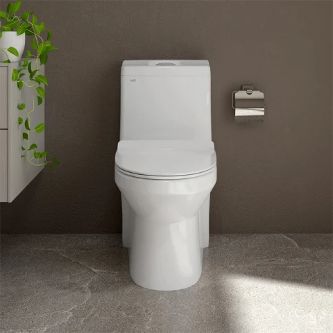 Ảnh Bồn cầu 1 khối Sanfi S301 3