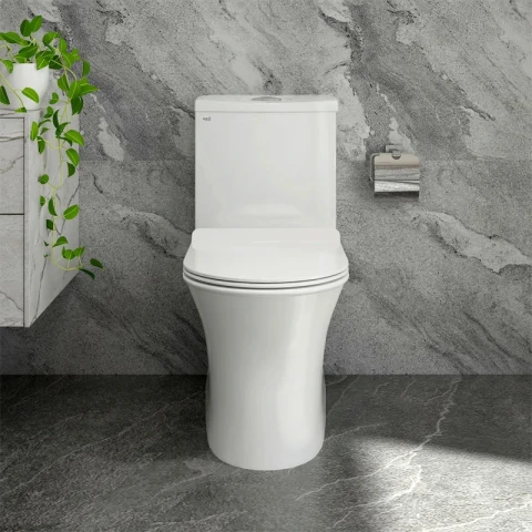 Ảnh Bồn cầu 1 khối Sanfi S302 3