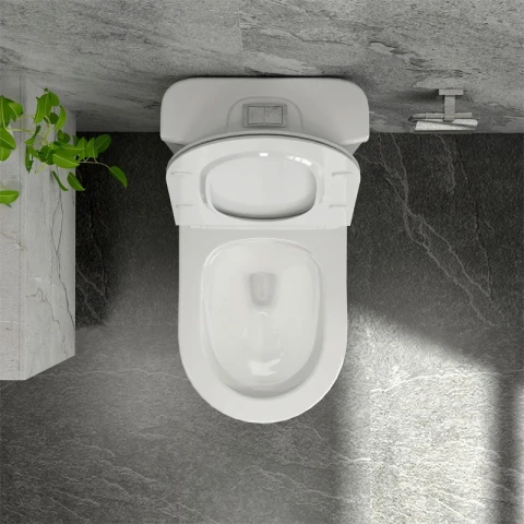 Ảnh Bồn cầu 1 khối Sanfi S302 5