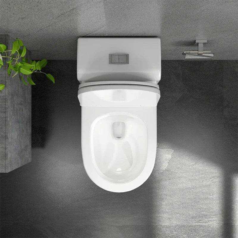 Ảnh Bồn cầu 1 khối Sanfi S304 5