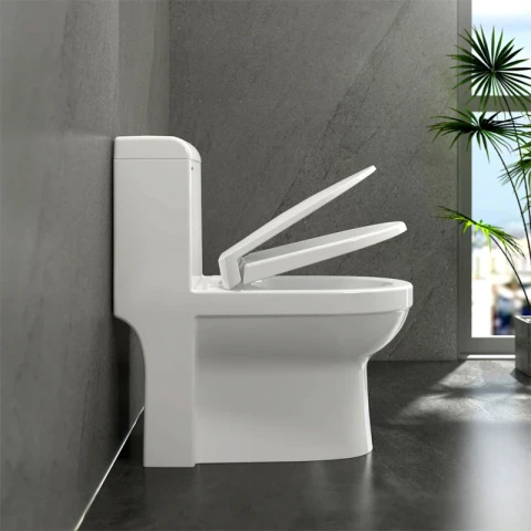 Ảnh Bồn cầu 1 khối Sanfi S304 4