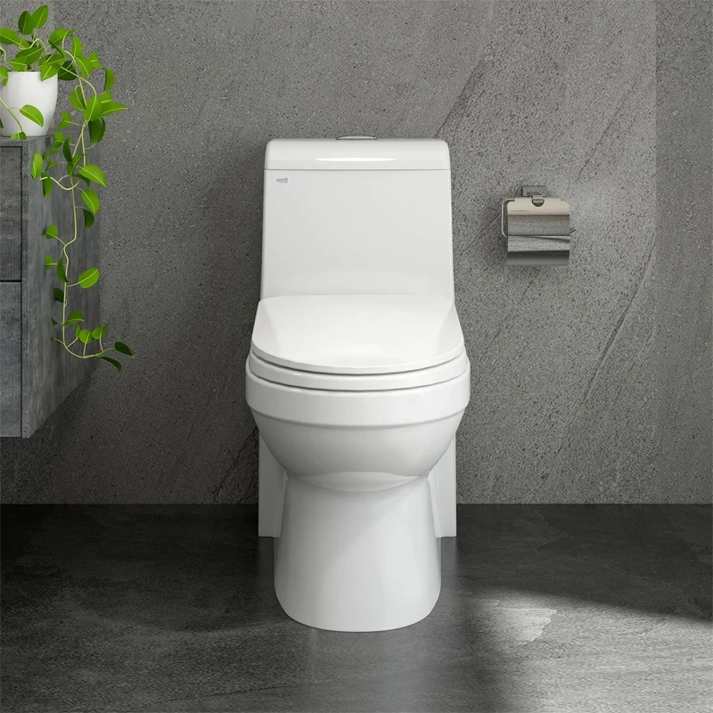 Ảnh Bồn cầu 1 khối Sanfi S304 3