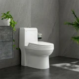 Bồn cầu 1 khối Sanfi S304 2