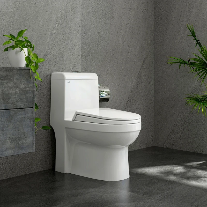 Ảnh Bồn cầu 1 khối Sanfi S304 2