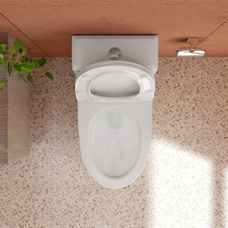 Ảnh Bồn cầu 1 khối Sanfi S306 5
