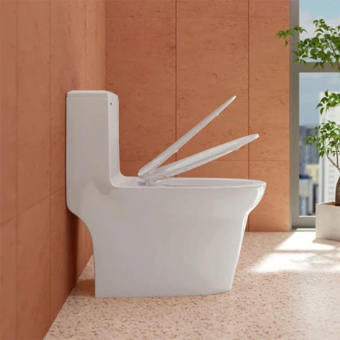 Ảnh Bồn cầu 1 khối Sanfi S306 4