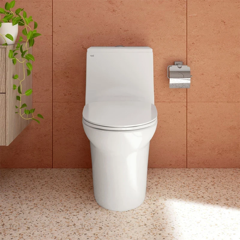 Ảnh Bồn cầu 1 khối Sanfi S306 3