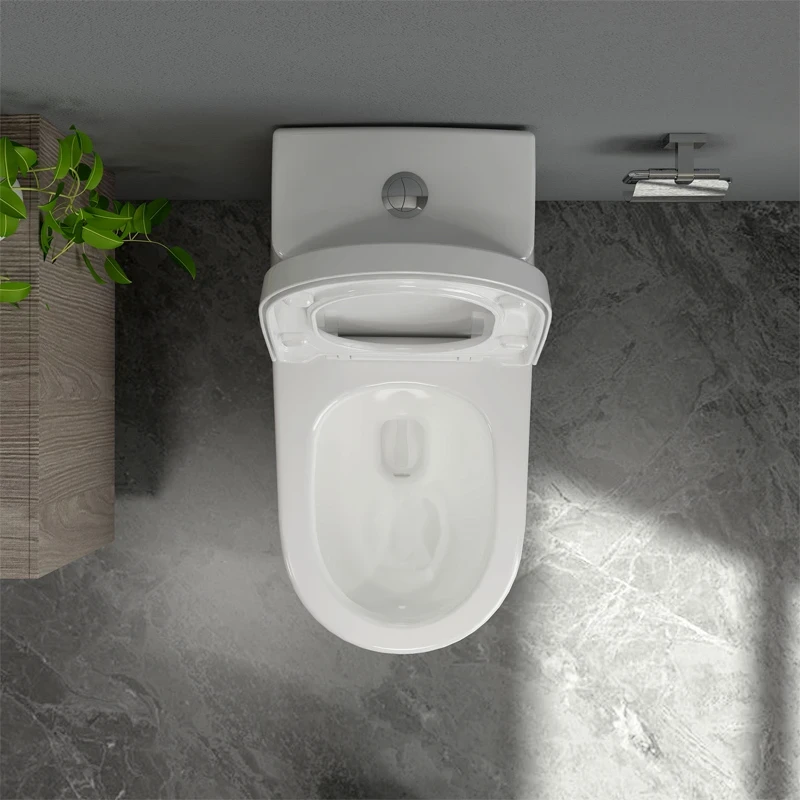 Ảnh Bồn cầu 1 khối Sanfi S308 4
