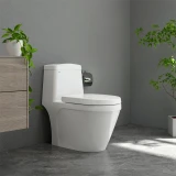 Bồn cầu 1 khối Sanfi S308 2