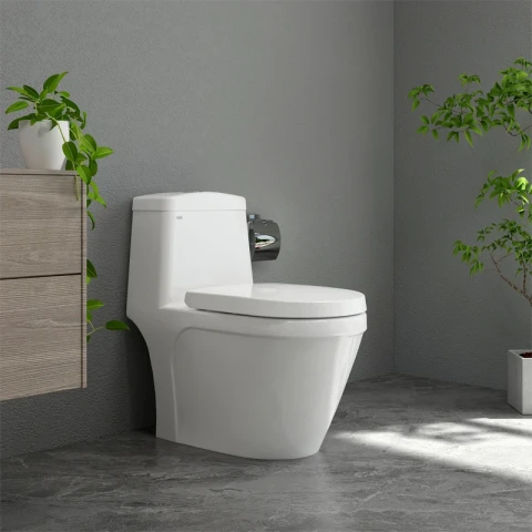 Ảnh Bồn cầu 1 khối Sanfi S308 2