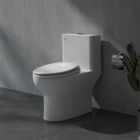 Ảnh Combo thiết bị vệ sinh Viglacera số 6 2