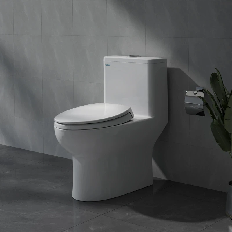 Ảnh Combo thiết bị vệ sinh Viglacera số 6 2