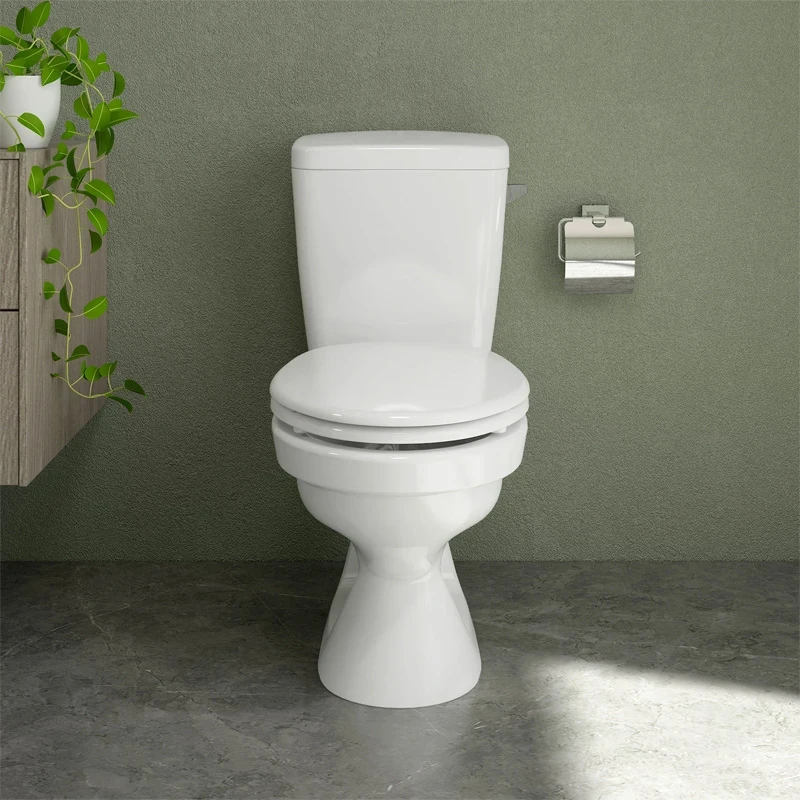Ảnh Bồn cầu 2 khối Sanfi S201 3
