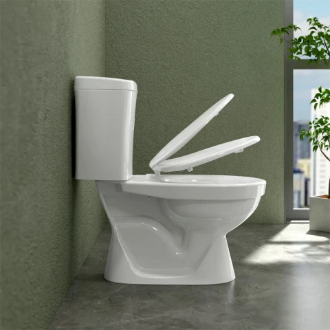 Ảnh Bồn cầu 2 khối Sanfi S201 4