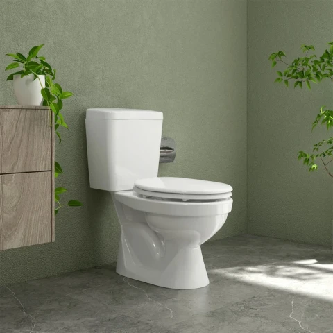 Ảnh Bồn cầu 2 khối Sanfi S201 2