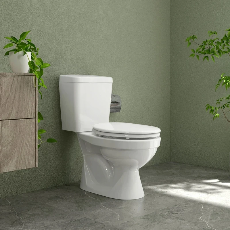 Ảnh Bồn cầu 2 khối Sanfi S201 2