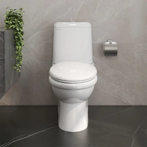 Ảnh Bồn cầu 2 khối Viglacera VI107 3