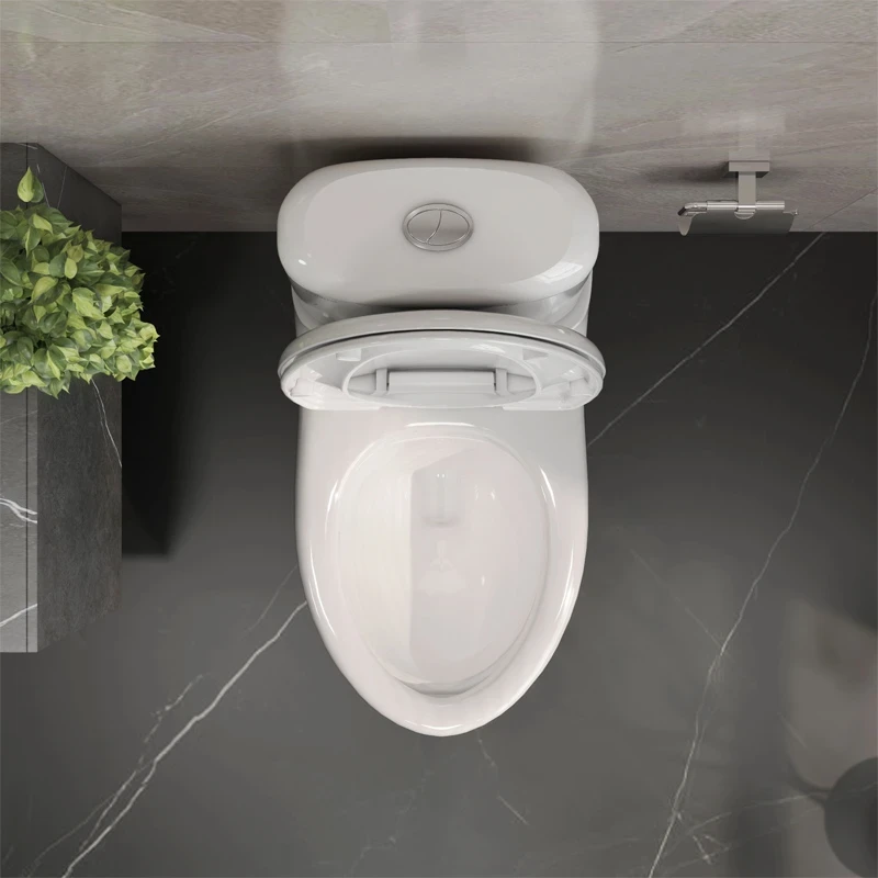 Ảnh Bồn cầu 2 khối Viglacera VI107 5