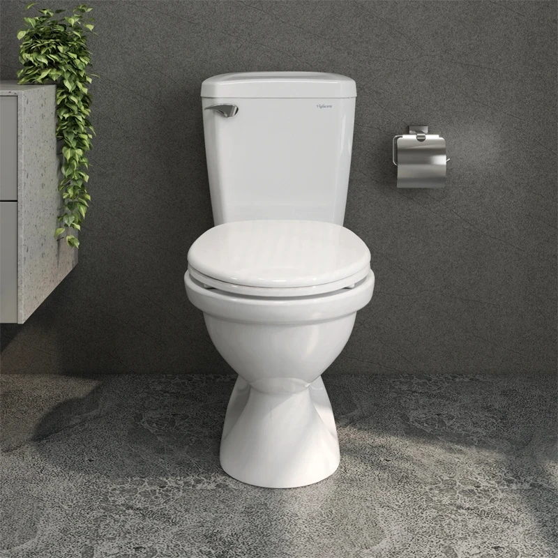 Ảnh Bồn cầu 2 khối Viglacera VI77 3