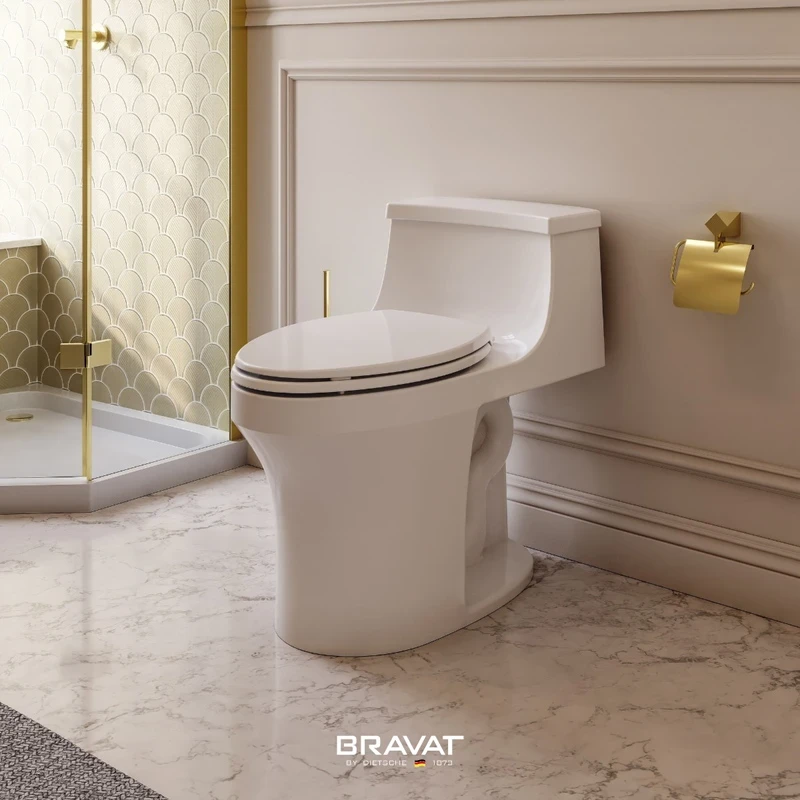 Ảnh Bồn cầu 1 khối Bravat C2183W-3A-ENG 3