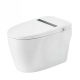 Bồn cầu thông minh Bravat C29001W1-3-VP 1