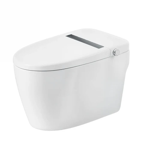 Bồn cầu thông minh Bravat C29001W1-3-VP