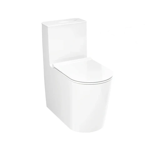Ảnh Bồn cầu 1 khối Hansgrohe 22431007/22433007 1