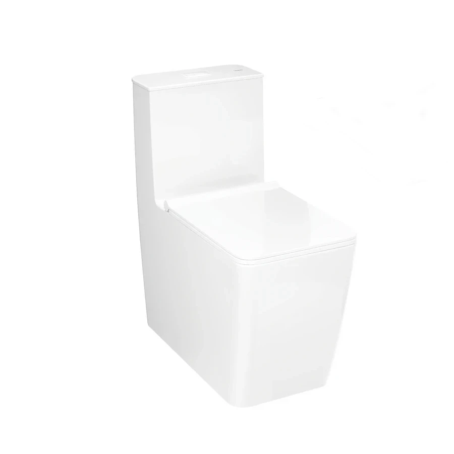 Bồn cầu 1 khối Hansgrohe 22434007/22436007