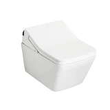 Bồn cầu âm tường TOTO CW522EA/TCF796CZ/WH172AT/MB171M#SS 1