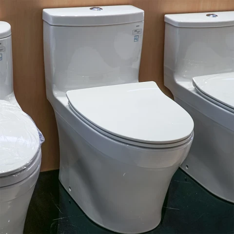 Ảnh Bồn cầu 1 khối TOTO MS889DRT8 2