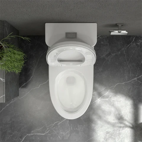 Ảnh Bồn cầu 1 khối Viglacera MK2 5