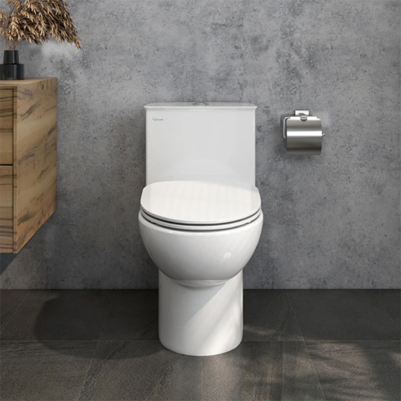 bon cau viglacera viglacera v819 chat luong