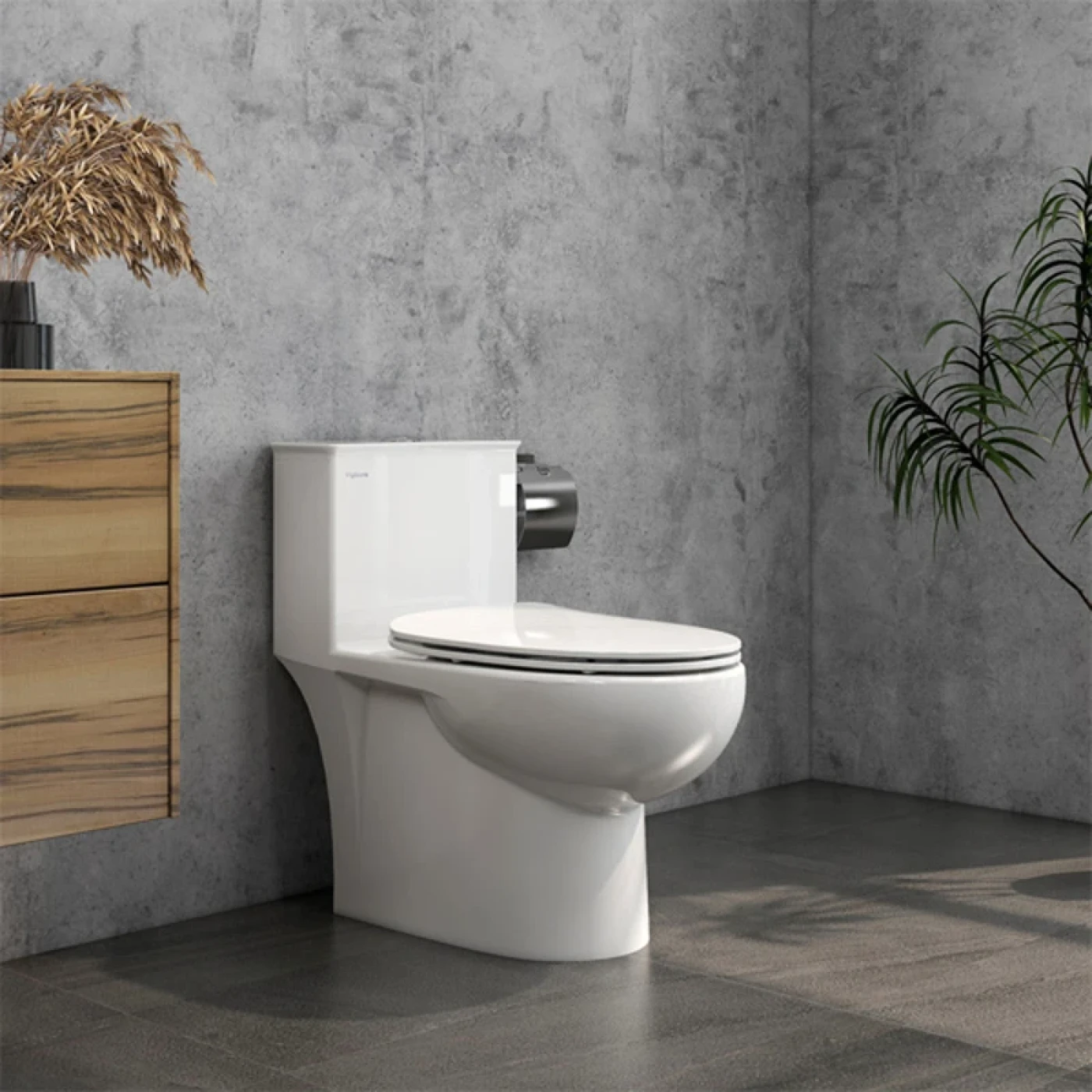 bon cau viglacera viglacera v819