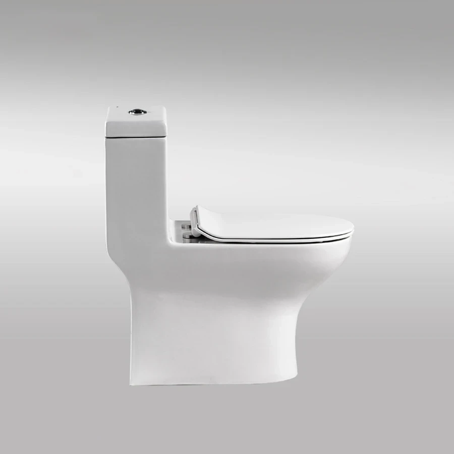 Ảnh Bồn cầu 1 khối Bravat C21165XUW-3 2