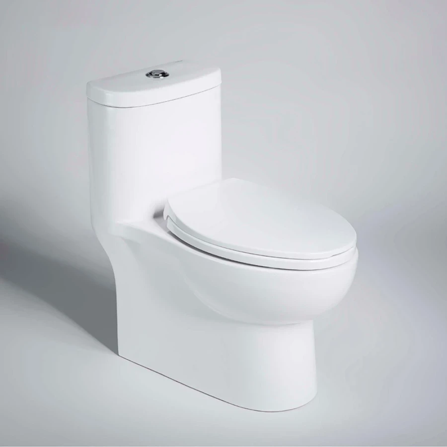 Bồn cầu 1 khối Bravat C2168XW-3B-ENG