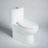 Bồn cầu 1 khối Bravat C2168XW-3B-ENG 1