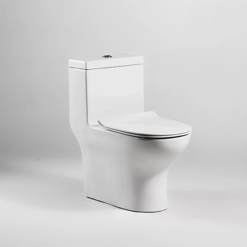 Bồn cầu 1 khối Bravat C21165XUW-3