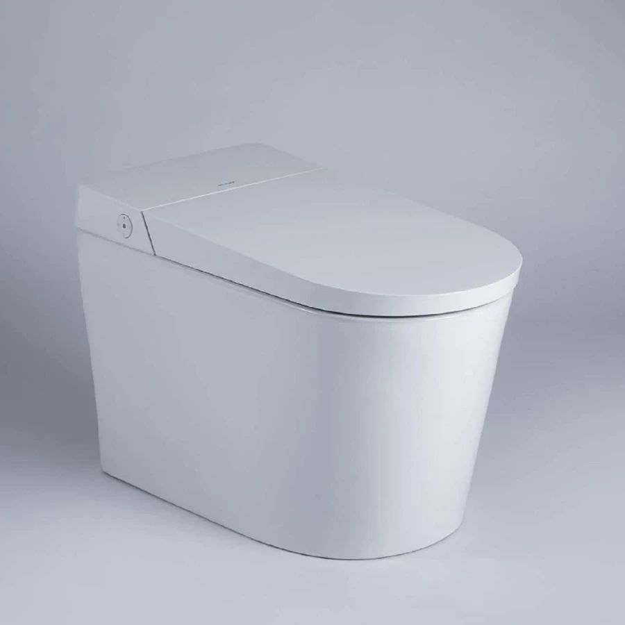 Bồn cầu thông minh Bravat C21295W-3-VP