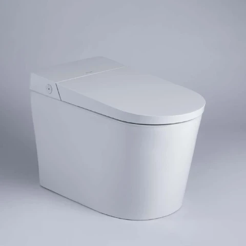 Bồn cầu thông minh Bravat C21295W-3-VP
