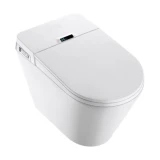 Bồn cầu thông minh Bravat C21323W-3-ENG 1