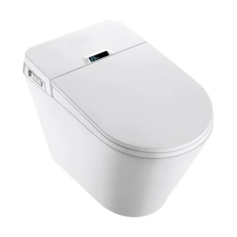 Ảnh Bồn cầu thông minh Bravat C21323W-3-ENG 1