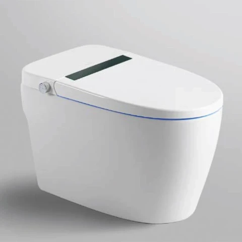 Ảnh Bồn cầu thông minh Bravat C29001W1-3-VP 3