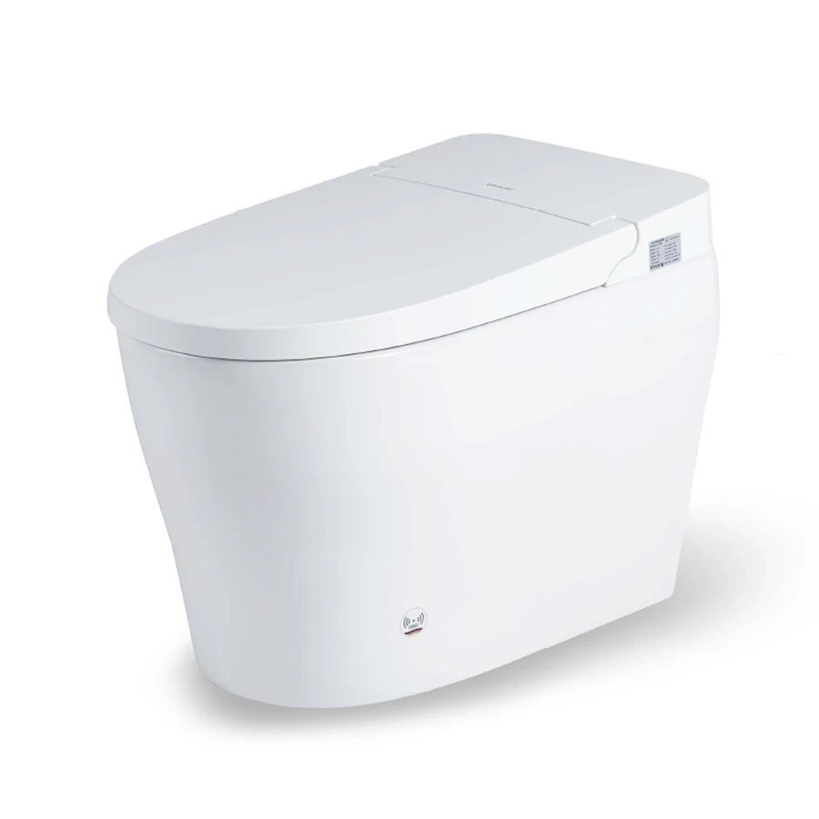 Ảnh Bồn cầu thông minh Bravat C29019W0-3-2-ENG 1